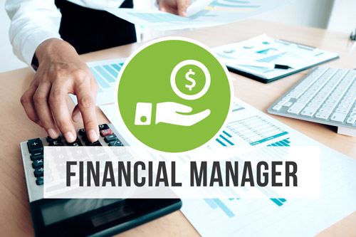 Financial Manager