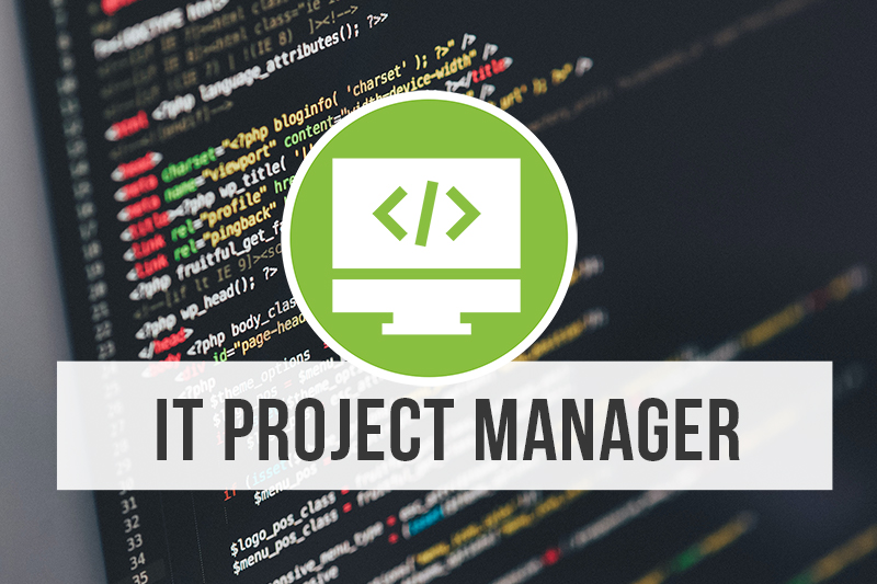 IT Project Manager