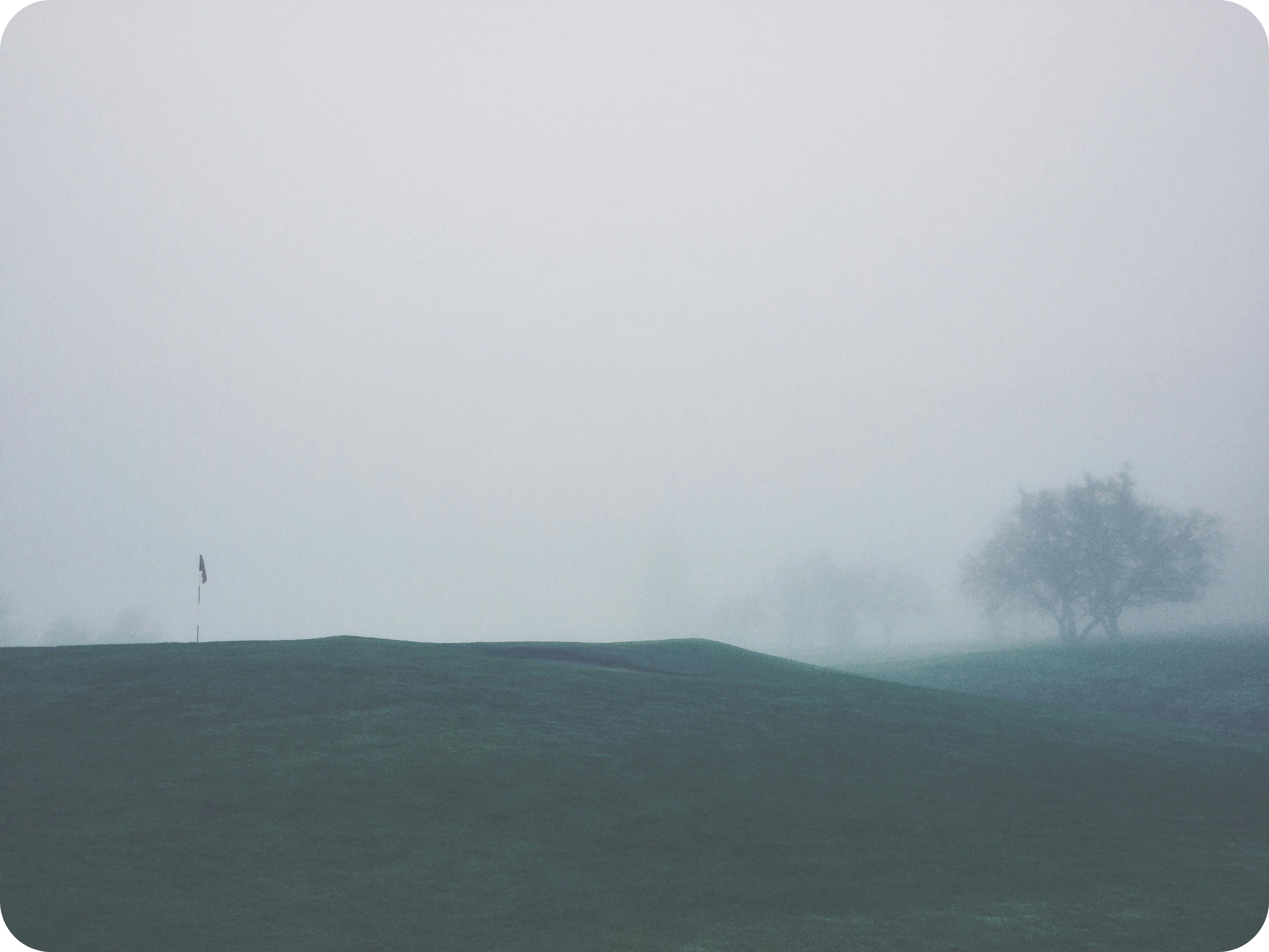 golf cart gps fog