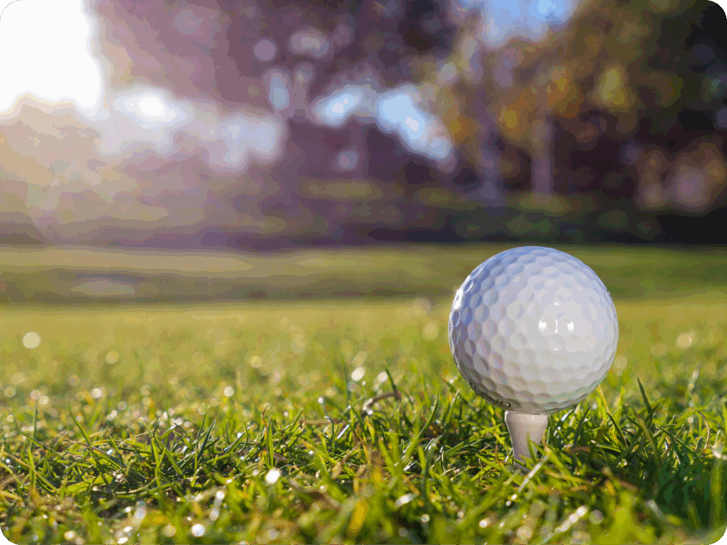 golf cart gps golf course sunny