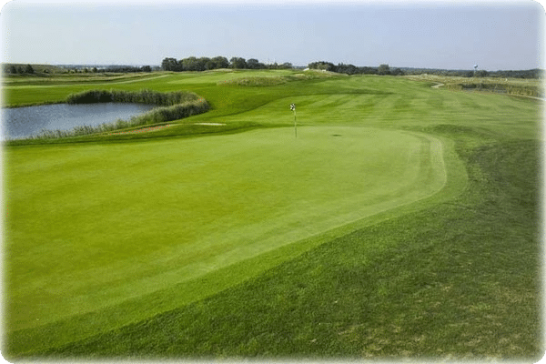 golf cart gps system shepherd's crook